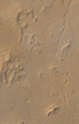 01site_icon.jpg