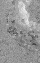1aICON.gif