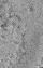 1bICON.gif