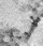 3bICON.gif