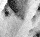 4aICON.gif