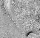 6aICON.gif
