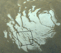 fig6a_cntxA_ICON.gif