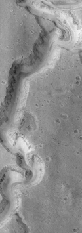 n_nanedi_8704_ICON.gif